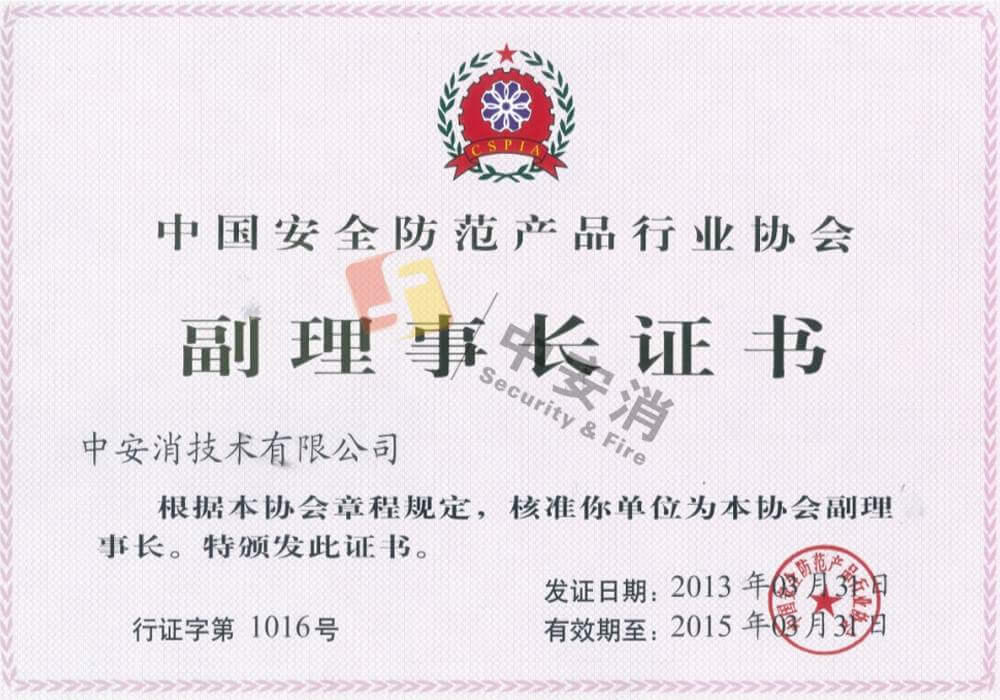 Deputy Chairman of China Security and Protection Industry Association